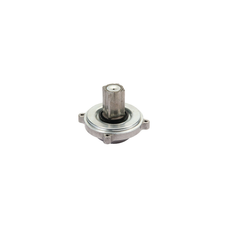 Accoppiamento Briggs e Stratton - 393127S