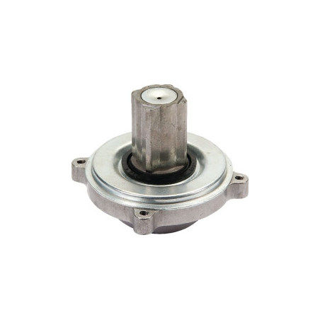 Couplage Briggs et Stratton - 393127S