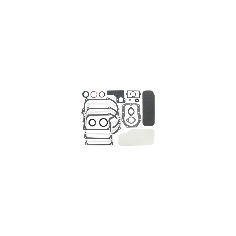 Kit Briggs et Stratton - 393411