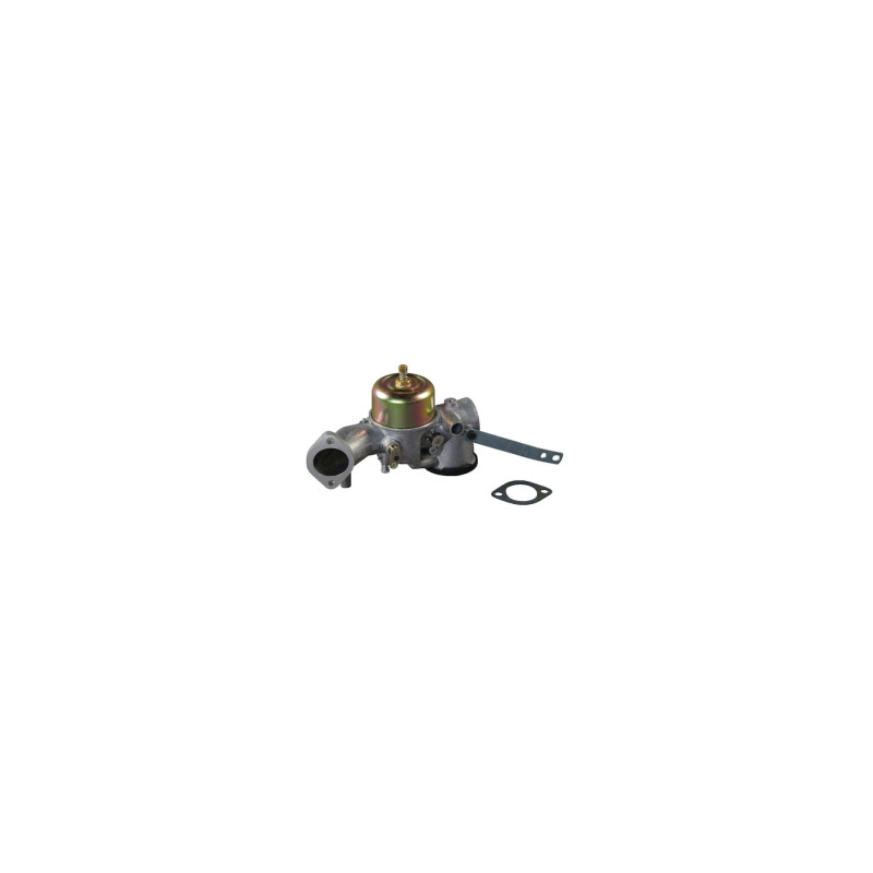 Carburateur Briggs et Stratton - 491031