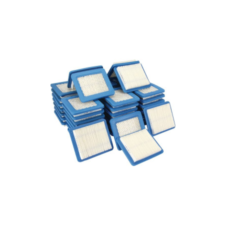 Filter Pack 50X491588S Briggs and Stratton - 491588L
