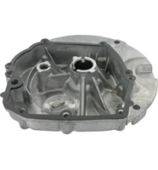 Carter motore Briggs e Stratton - 493279