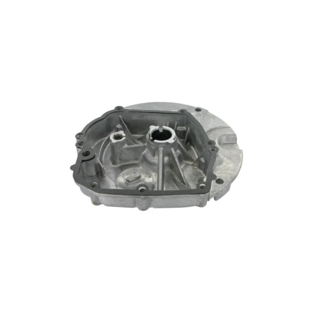 Carter motore Briggs e Stratton - 493279