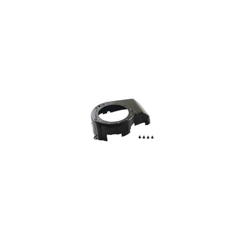 Protezione Briggs e Stratton - 493294