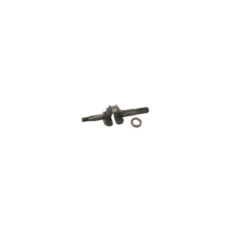 Kurbelwelle Briggs und Stratton - 493726