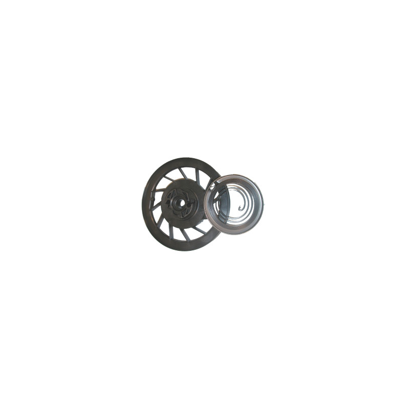 Puleggia Briggs e Stratton - 493824