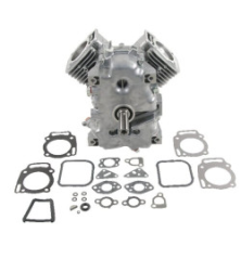 Pantaloncini Briggs e Stratton - 494057