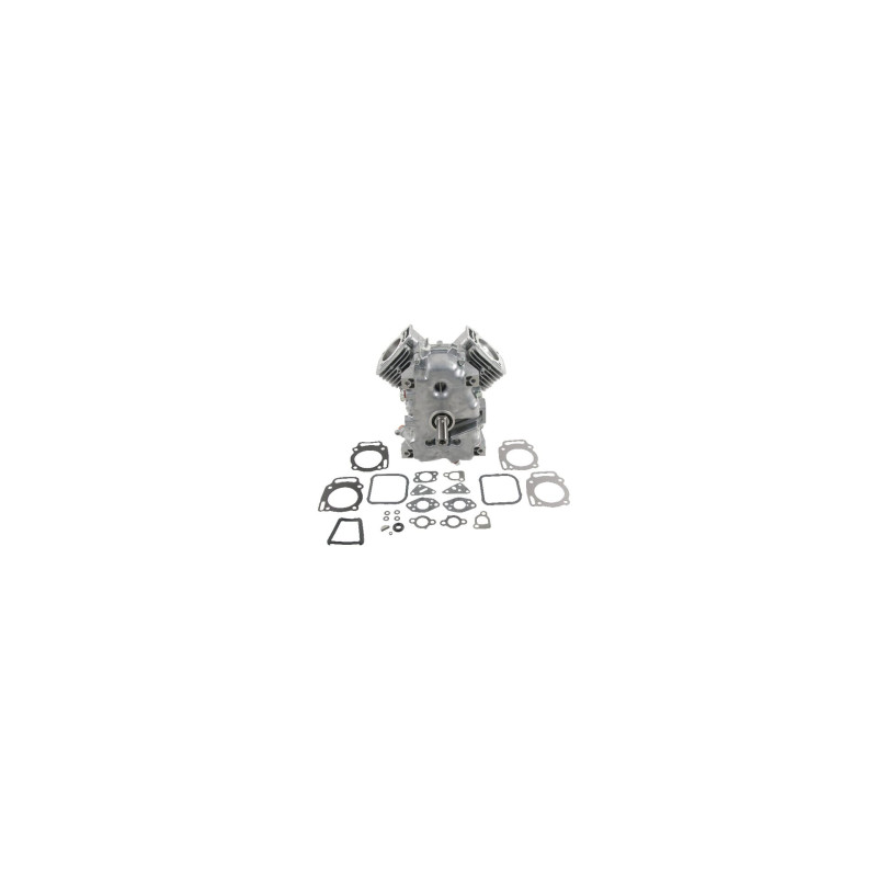 Short Briggs e Stratton - 494057