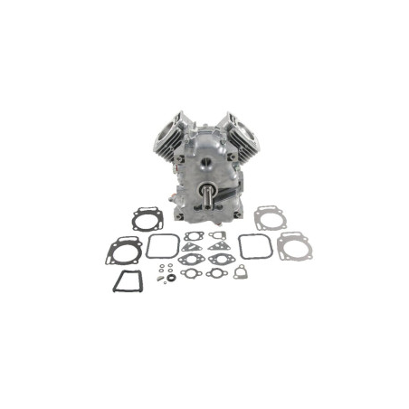 Pantaloncini Briggs e Stratton - 494057