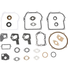 Kit Briggs et Stratton - 495602