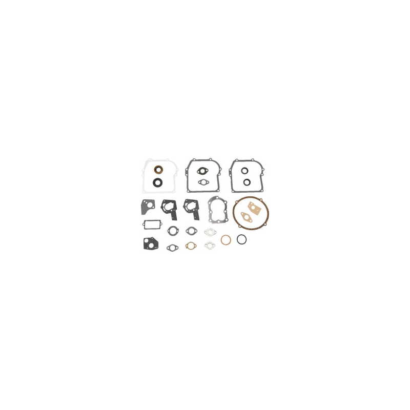 Kit Briggs e Stratton - 495602