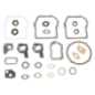 Kit Briggs e Stratton - 495602