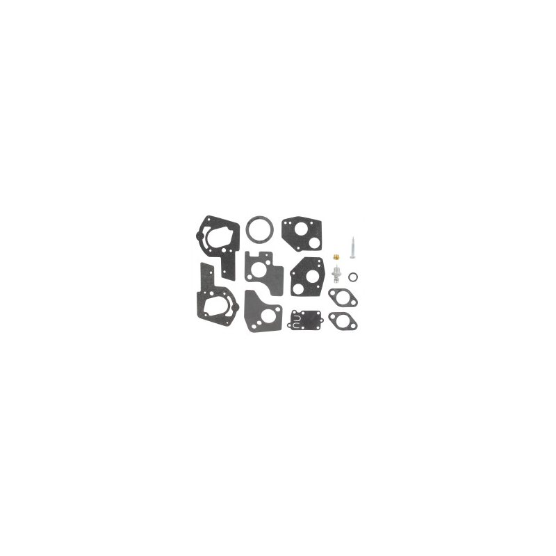 Kit de carburador Briggs y Stratton - 495606 - 494624