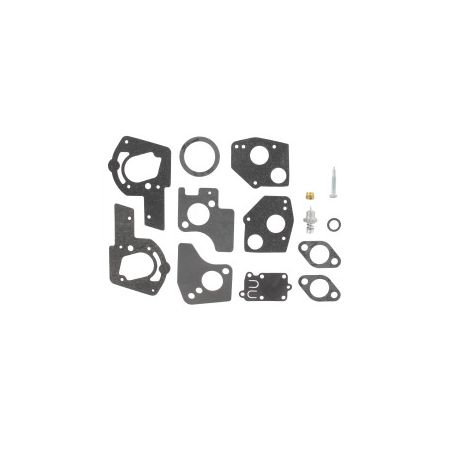 Kit de carburateur Briggs et Stratton - 495606 - 494624