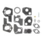 Kit de carburador Briggs y Stratton - 495606 - 494624