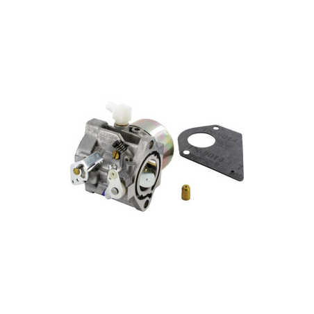 Carburador Briggs e Stratton - 495778