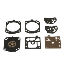 Kit Briggs et Stratton - 495837