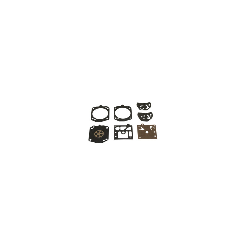 Kit Briggs et Stratton - 495837