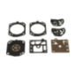 Kit Briggs et Stratton - 495837