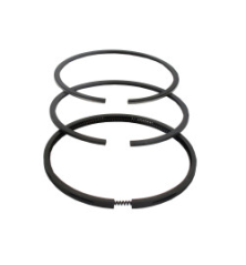 Briggs and Stratton Segment - 495854
