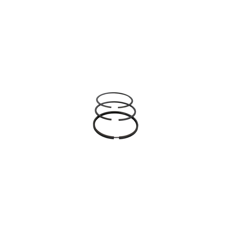 Segmento Briggs e Stratton - 495854