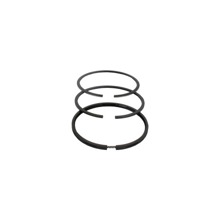 Briggs and Stratton Segment - 495854