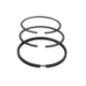 Segmento Briggs et Stratton - 495854