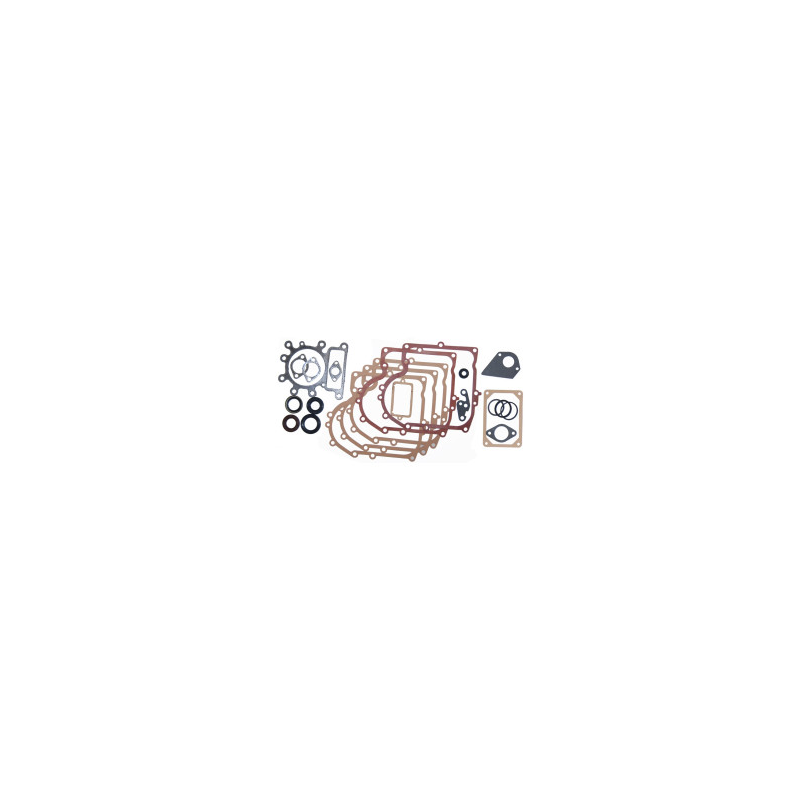 Joints moteur Briggs et Stratton - 495993