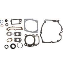 Kit Briggs e Stratton - 496055