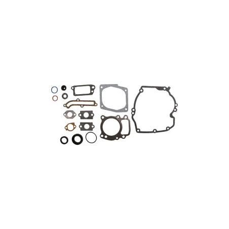 Kit Briggs e Stratton - 496055