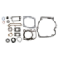 Kit Briggs et Stratton - 496055