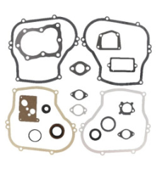 Briggs and Stratton Kit - 496659