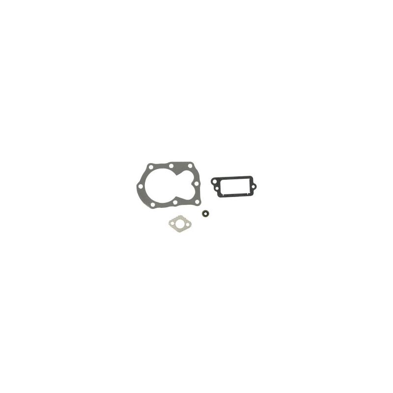 Kit Briggs et Stratton - 498526