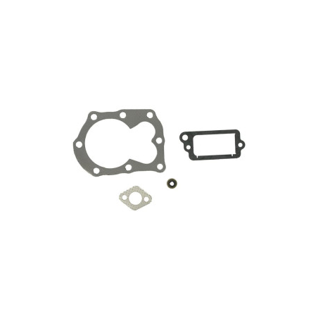 Kit Briggs e Stratton - 498526