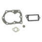 Kit Briggs et Stratton - 498526