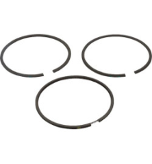 Kit Briggs e Stratton - 499427