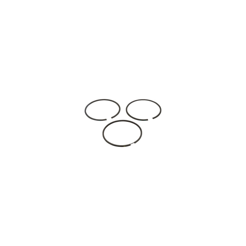 Kit Briggs and Stratton - 499427