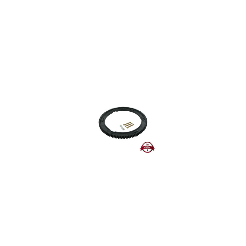 Corona de arranque Briggs y Stratton - 499612