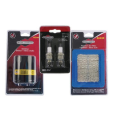 Kit Briggs e Stratton - 5021D