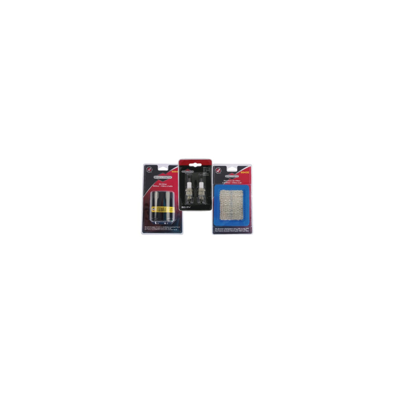 Kit Briggs e Stratton - 5021D