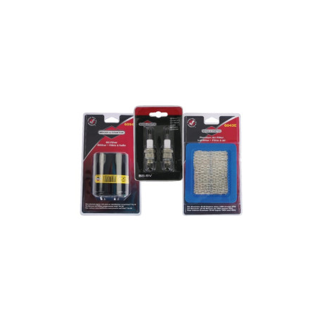 Kit Briggs e Stratton - 5021D