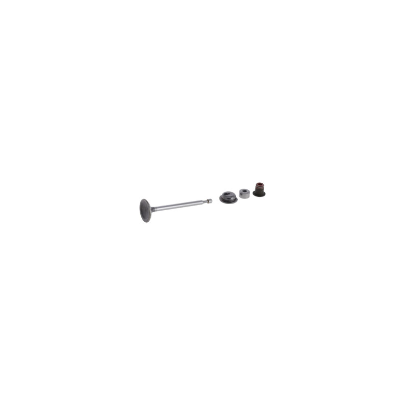 Einlassventil Briggs und Stratton - 590530
