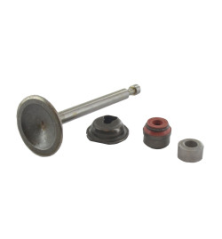 Soupape d'admission Briggs et Stratton - 594094