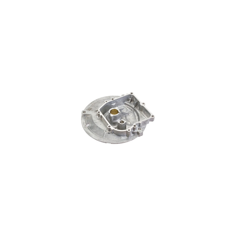 Carter Briggs y Stratton - 594101