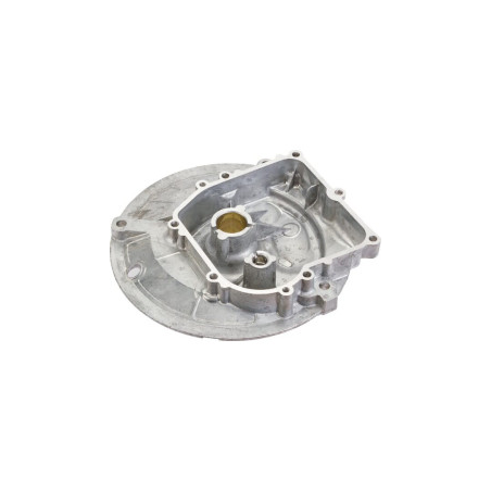 Carter Briggs e Stratton - 594101