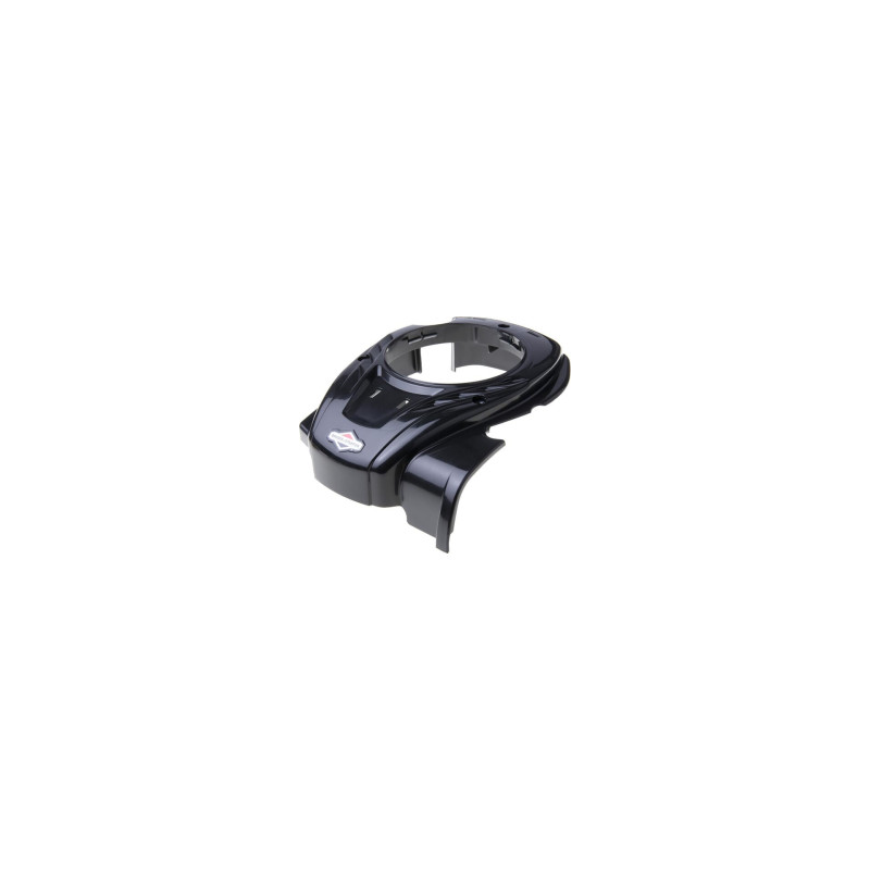 Carter Briggs e Stratton - 596457