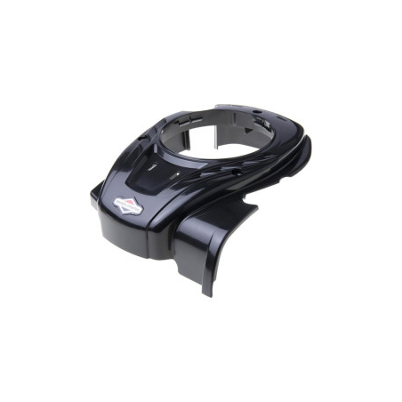 Carter Briggs e Stratton - 596457