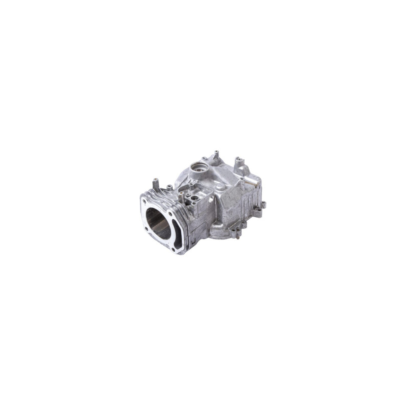 Zylinderbaugruppe Briggs und Stratton - 597120