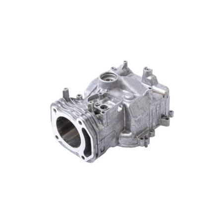 Assemblage de cylindre Briggs et Stratton - 597120
