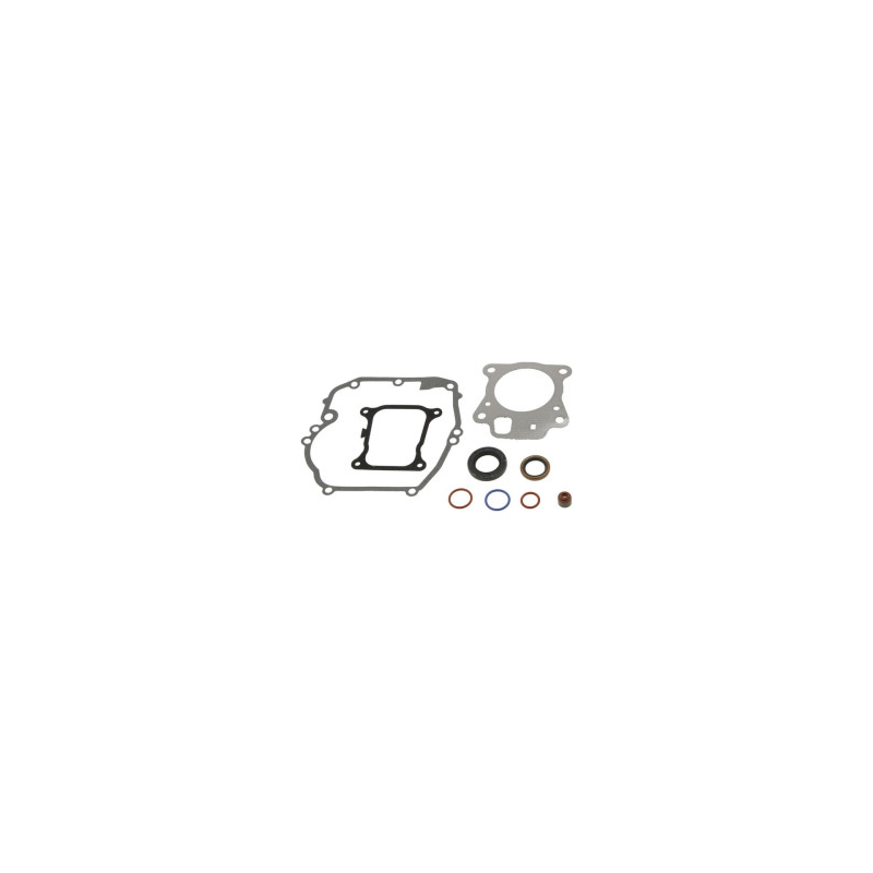 Conjunto de juntas Briggs e Stratton - 597320